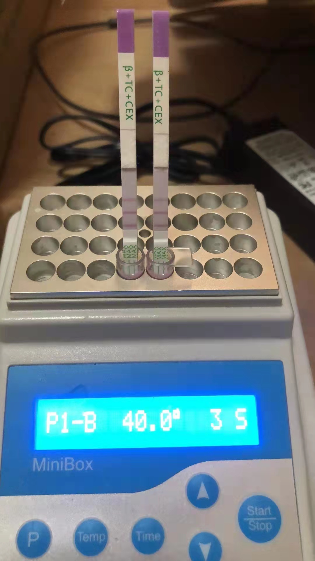 玉米赤霉醇檢測試紙條